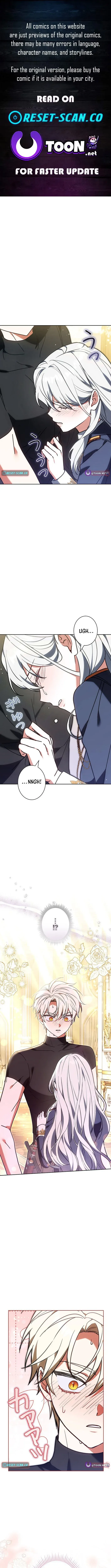I Was Supposed to Be a Stalker Lady, but Somehow I’m Being Adored Instead Chapter 37 page 2