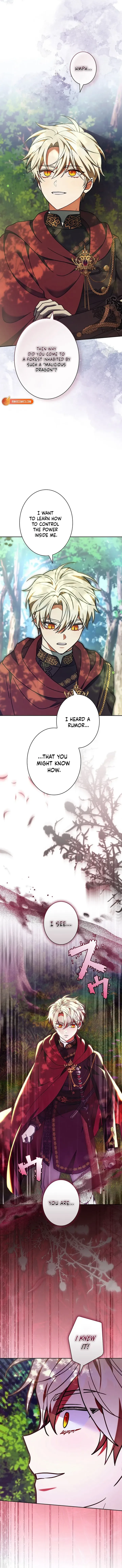 I Was Supposed to Be a Stalker Lady, but Somehow I’m Being Adored Instead Chapter 43 page 19