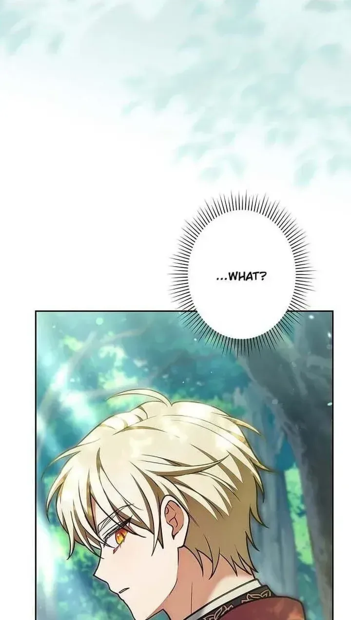 I Was Supposed to Be a Stalker Lady, but Somehow I’m Being Adored Instead Chapter 42 page 43