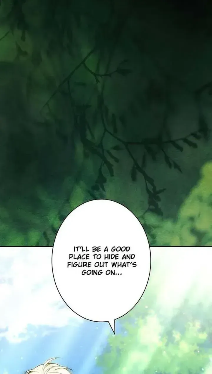 I Was Supposed to Be a Stalker Lady, but Somehow I’m Being Adored Instead Chapter 42 page 52