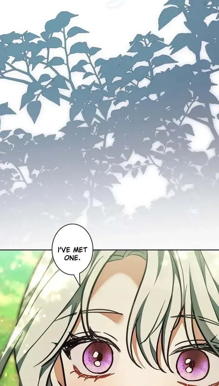 I Was Supposed to Be a Stalker Lady, but Somehow I’m Being Adored Instead Chapter 42 page 36