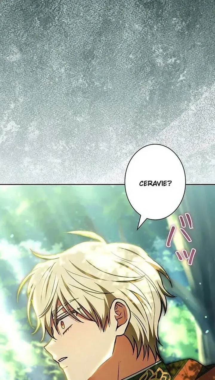 I Was Supposed to Be a Stalker Lady, but Somehow I’m Being Adored Instead Chapter 42 page 4