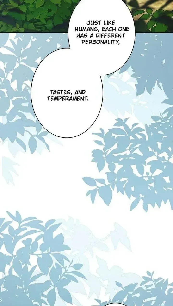 I Was Supposed to Be a Stalker Lady, but Somehow I’m Being Adored Instead Chapter 42 page 25