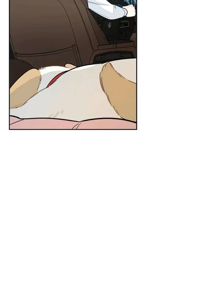 I Will Become Your Dog, Boss! Chapter 3 page 28