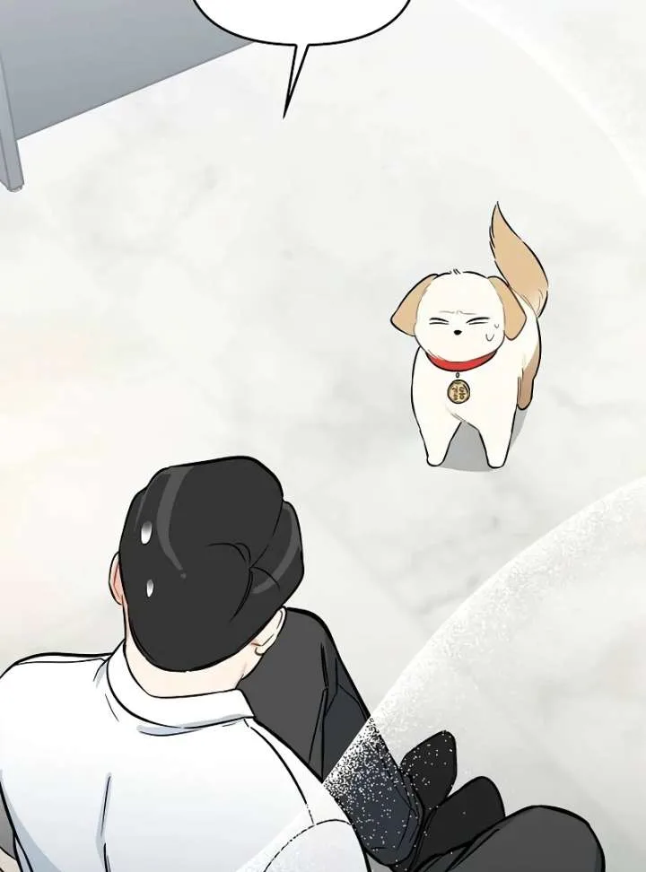 I Will Become Your Dog, Boss! Chapter 4 page 4