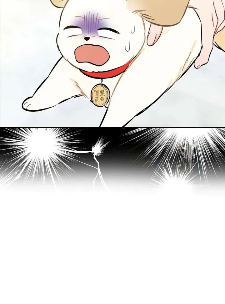 I Will Become Your Dog, Boss! Chapter 4 page 12
