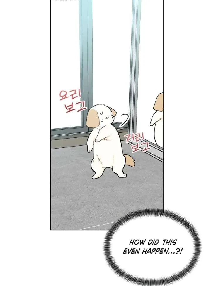 I Will Become Your Dog, Boss! Chapter 2 page 109