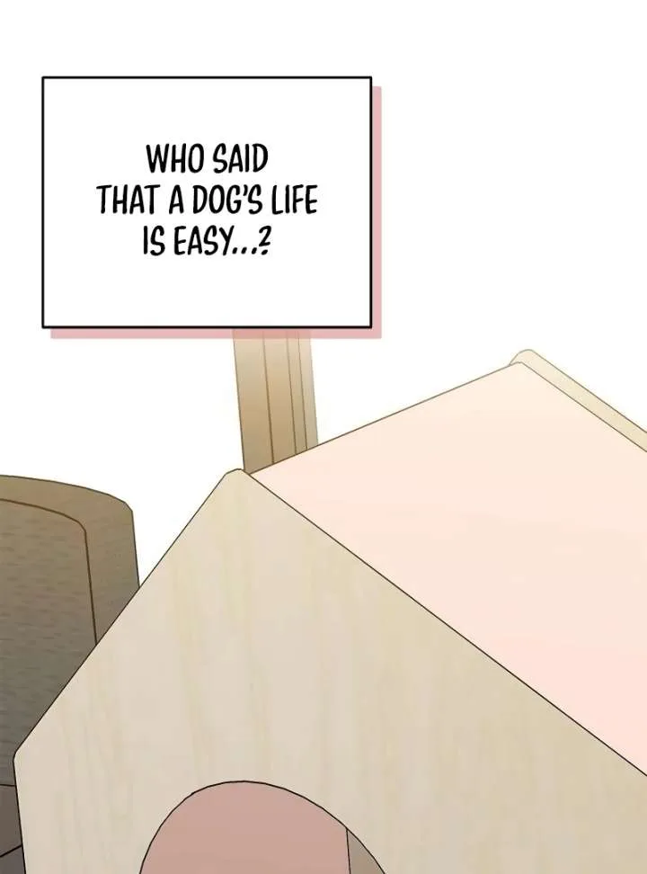 I Will Become Your Dog, Boss! Chapter 10 page 8