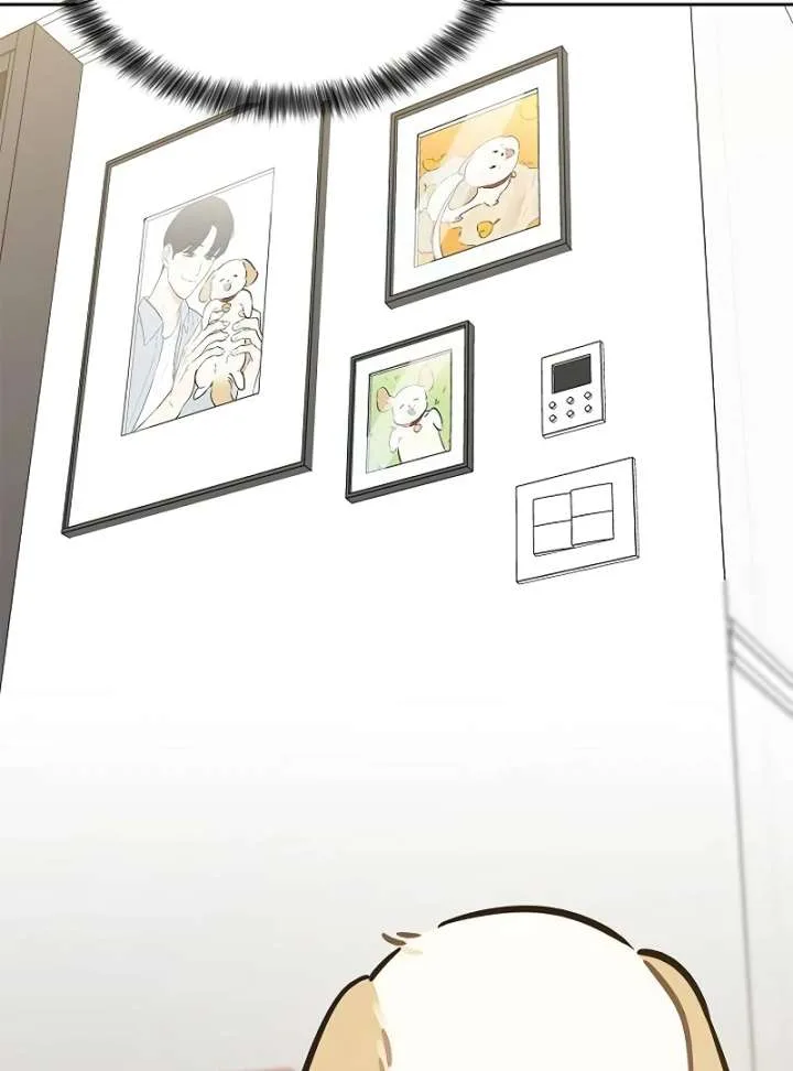 I Will Become Your Dog, Boss! Chapter 10 page 17