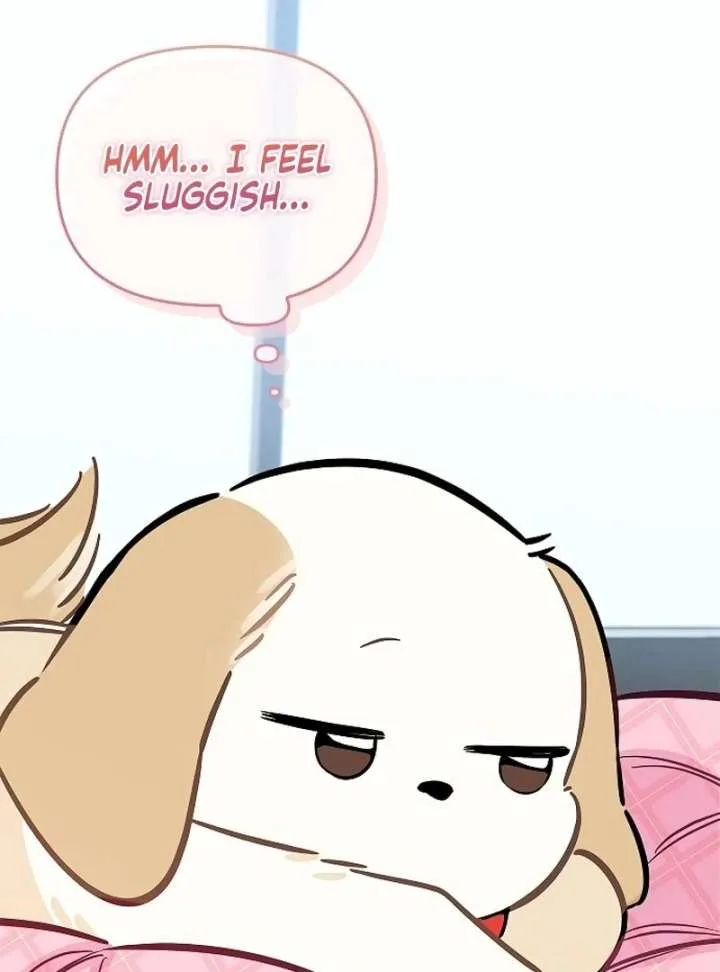 I Will Become Your Dog, Boss! Chapter 21 page 44