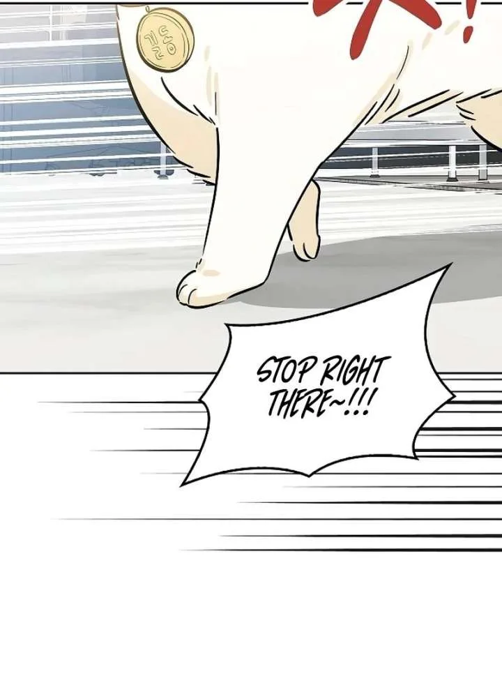 I Will Become Your Dog, Boss! Chapter 21 page 68