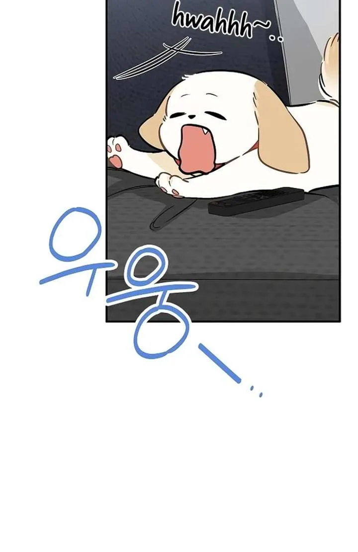 I Will Become Your Dog, Boss! Chapter 29 page 35