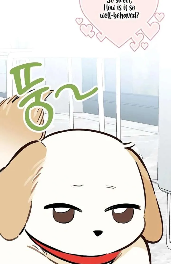 I Will Become Your Dog, Boss! Chapter 29 page 67