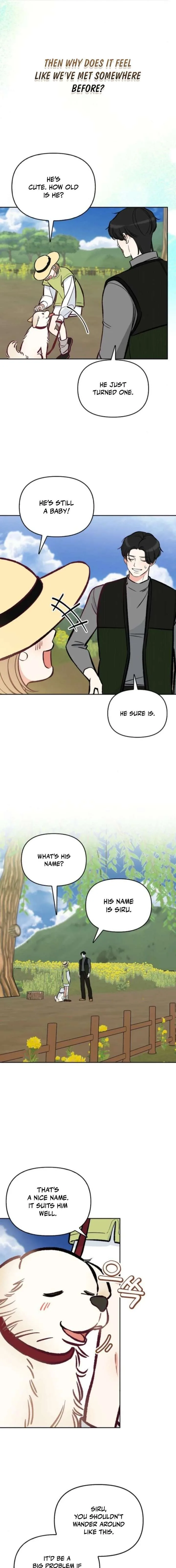 I Will Become Your Dog, Boss! Chapter 61 page 16