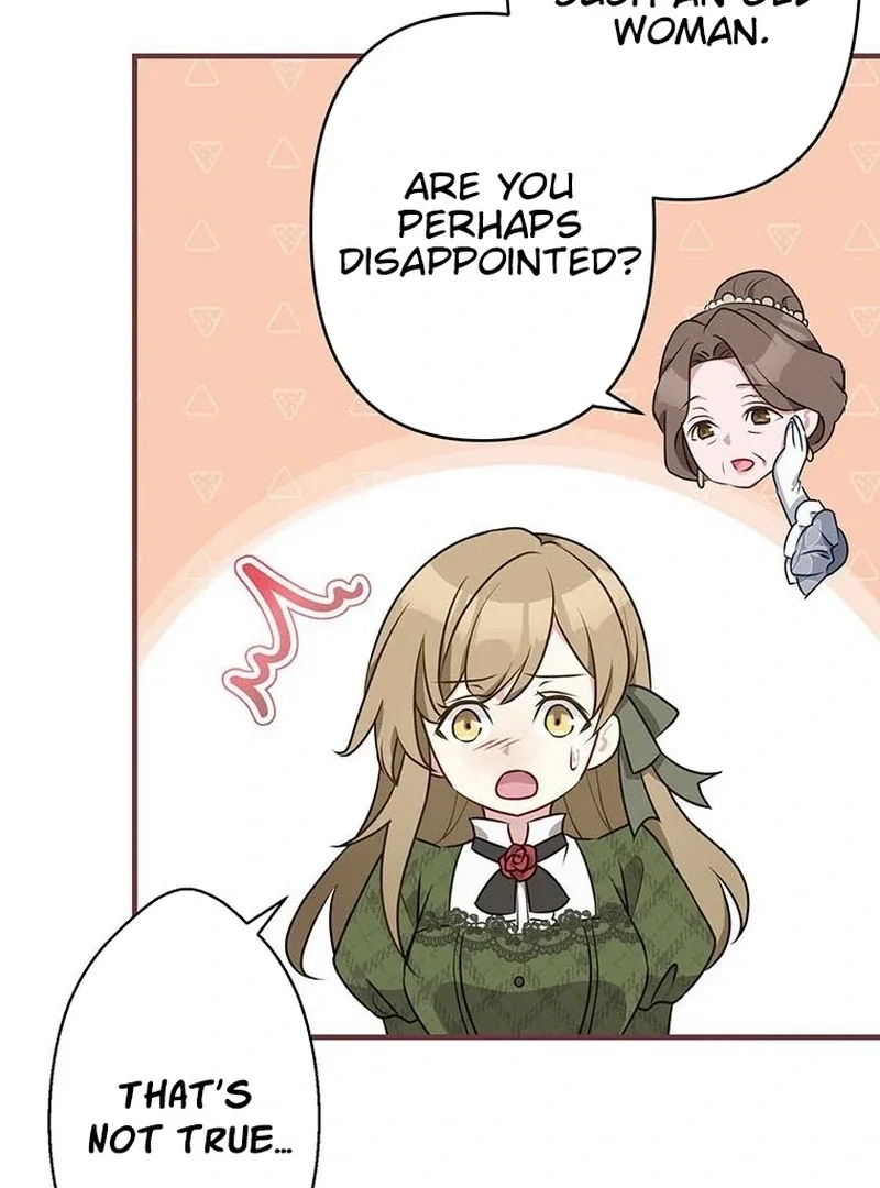 I will break ties with the harmful sister Chapter 34 page 74