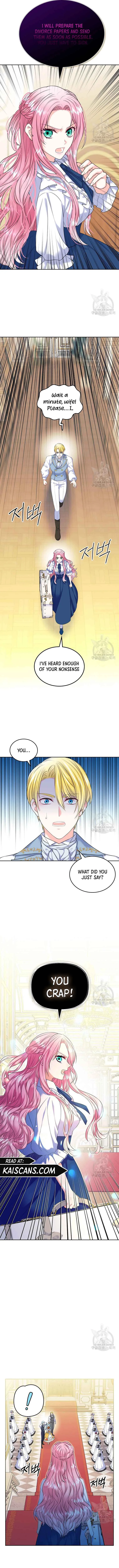 I Will Divorce the Female Lead’s Siscon Brother Chapter 3 page 7