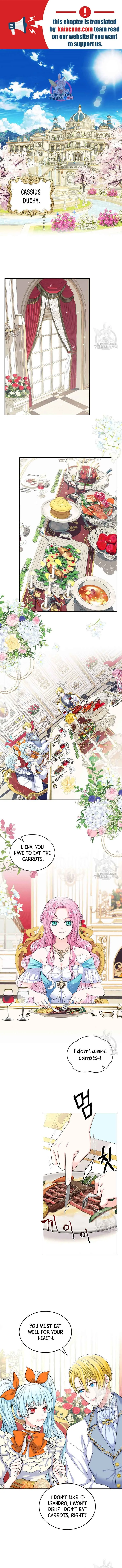 I Will Divorce the Female Lead’s Siscon Brother Chapter 1 page 3