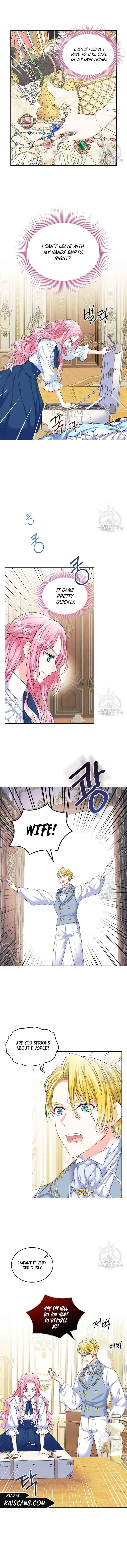 I Will Divorce the Female Lead’s Siscon Brother Chapter 2 page 4