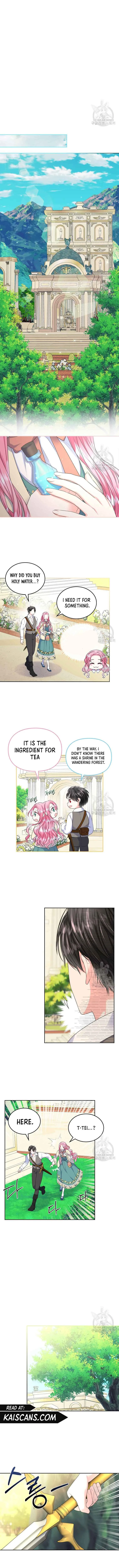 I Will Divorce the Female Lead’s Siscon Brother Chapter 7 page 6