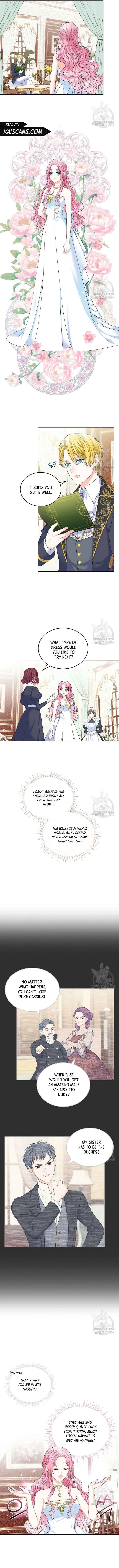 I Will Divorce the Female Lead’s Siscon Brother Chapter 2 page 7