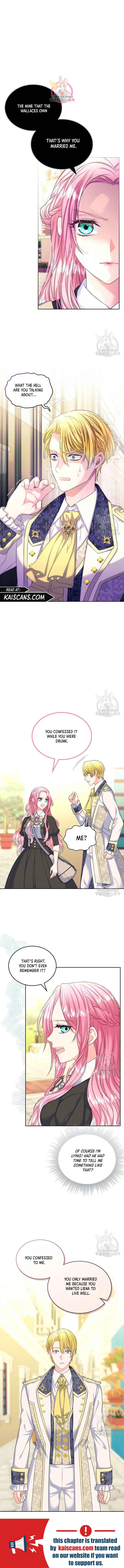 I Will Divorce the Female Lead’s Siscon Brother Chapter 5 page 3
