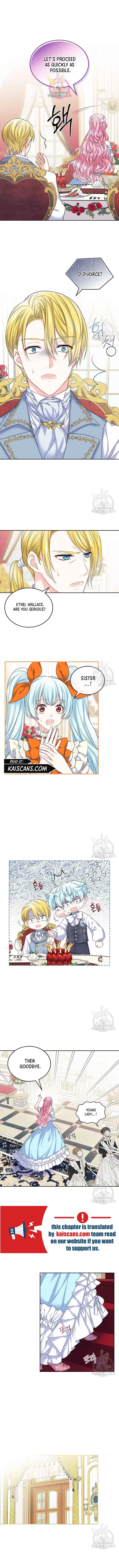 I Will Divorce the Female Lead’s Siscon Brother Chapter 2 page 3