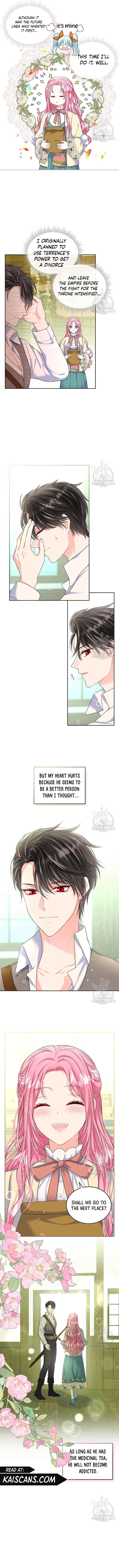 I Will Divorce the Female Lead’s Siscon Brother Chapter 7 page 5