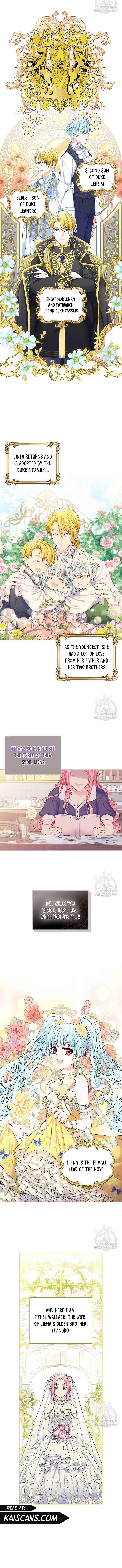 I Will Divorce the Female Lead’s Siscon Brother Chapter 1 page 9