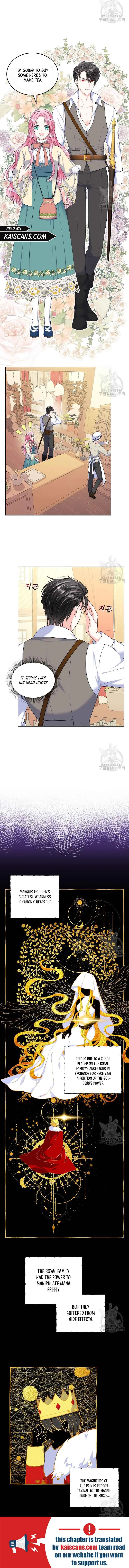 I Will Divorce the Female Lead’s Siscon Brother Chapter 6 page 12