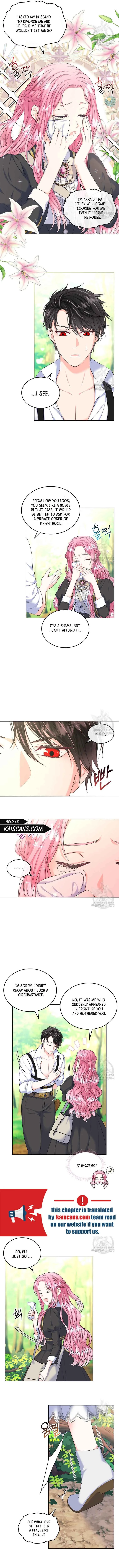 I Will Divorce the Female Lead’s Siscon Brother Chapter 6 page 4