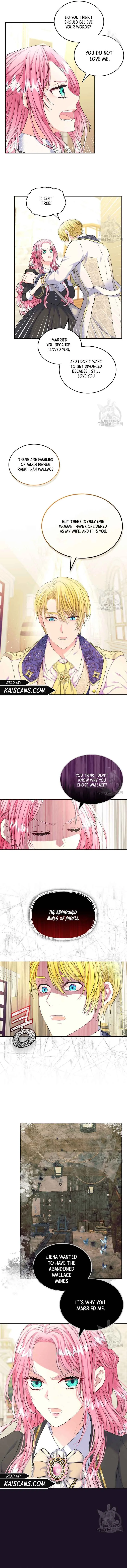 I Will Divorce the Female Lead’s Siscon Brother Chapter 4 page 10
