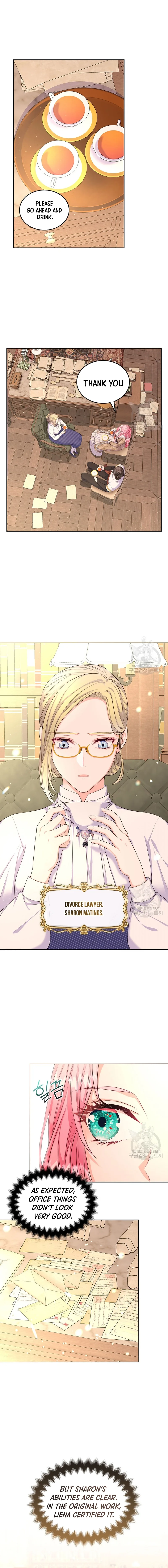 I Will Divorce the Female Lead’s Siscon Brother Chapter 15 page 5