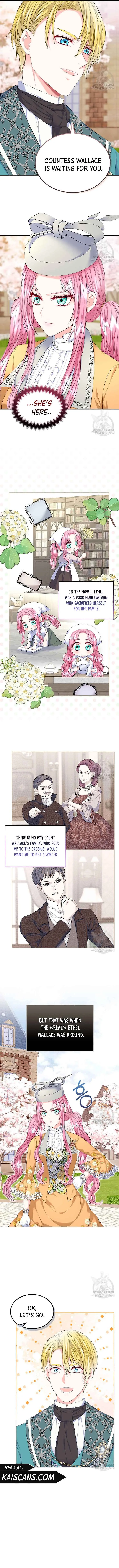 I Will Divorce the Female Lead’s Siscon Brother Chapter 21 page 7