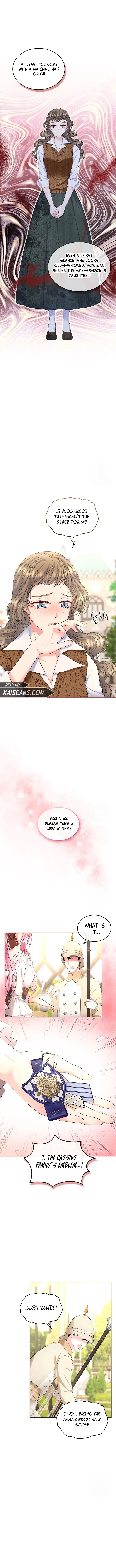 I Will Divorce the Female Lead’s Siscon Brother Chapter 26 page 6