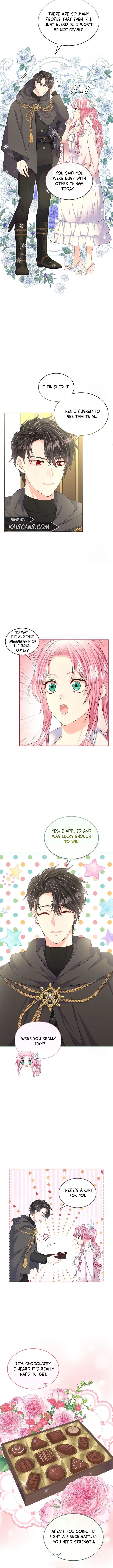 I Will Divorce the Female Lead’s Siscon Brother Chapter 29 page 12
