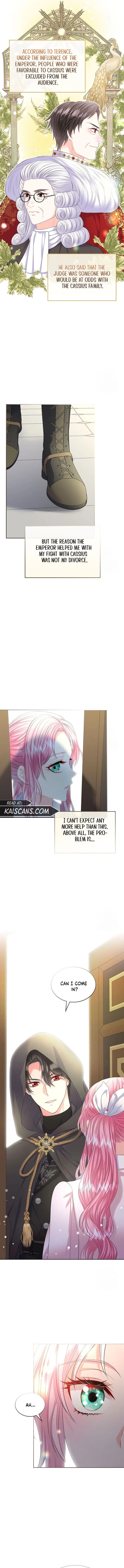 I Will Divorce the Female Lead’s Siscon Brother Chapter 29 page 11
