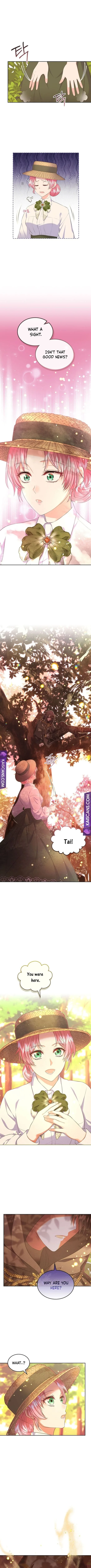 I Will Divorce the Female Lead’s Siscon Brother Chapter 36 page 9
