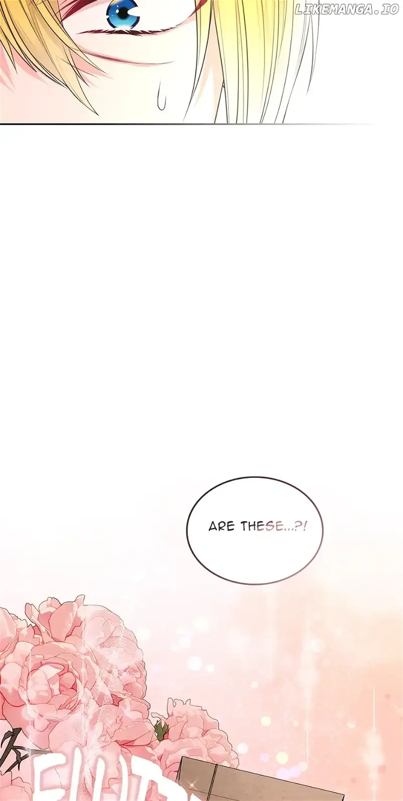 I Will Divorce the Female Lead’s Siscon Brother Chapter 40 page 5
