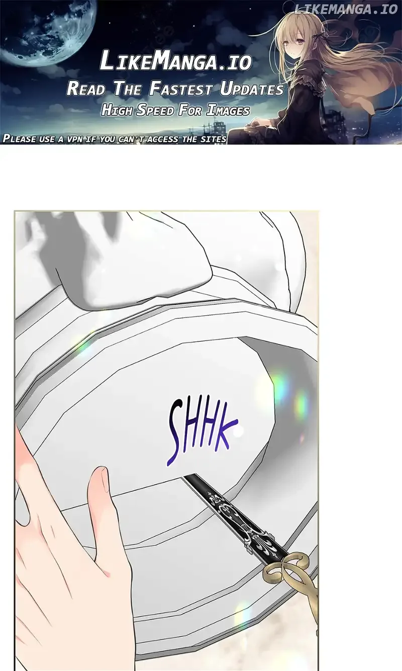 I Will Divorce the Female Lead’s Siscon Brother Chapter 40 page 2