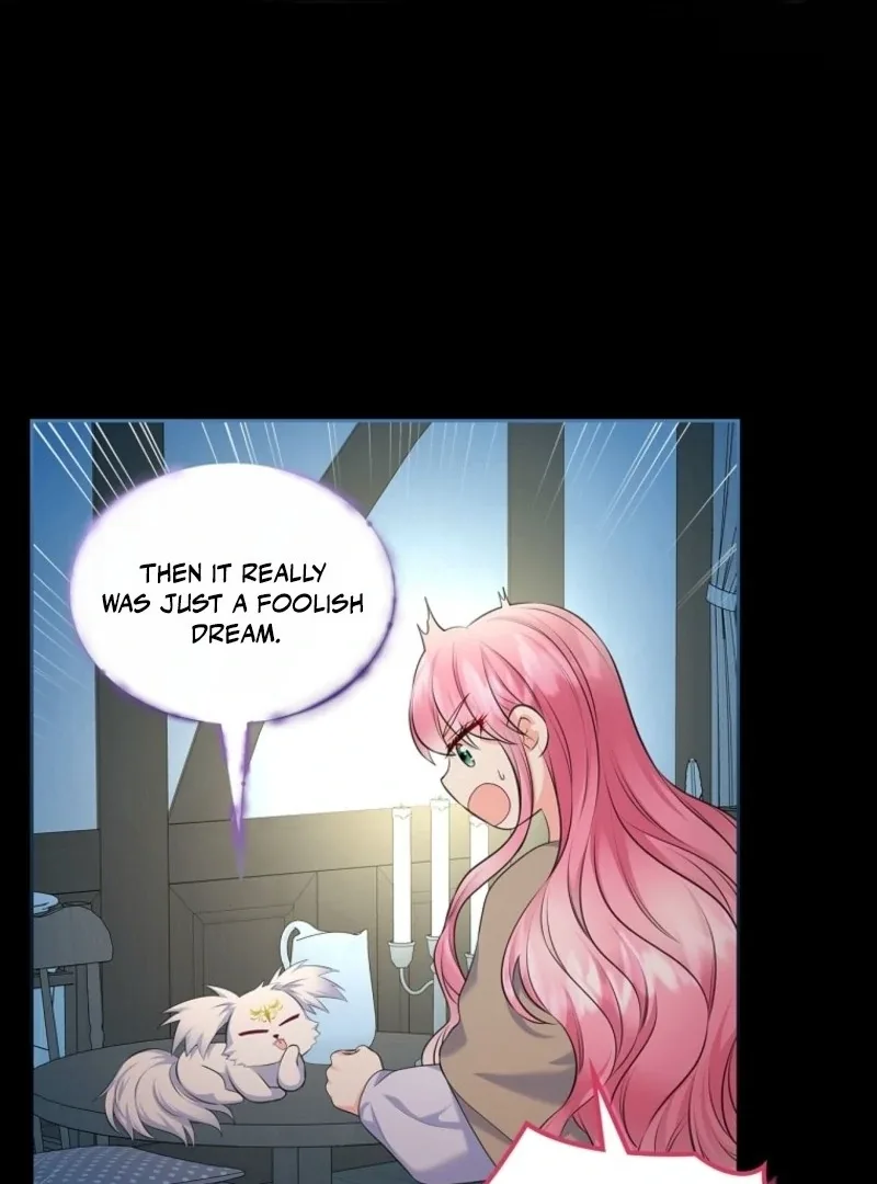 I Will Divorce the Female Lead’s Siscon Brother Chapter 78 page 46