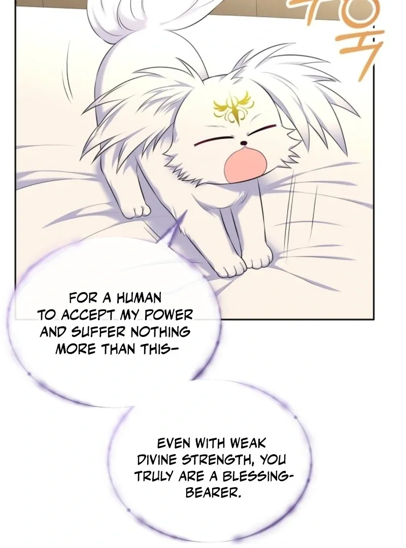 I Will Divorce the Female Lead’s Siscon Brother Chapter 78 page 15