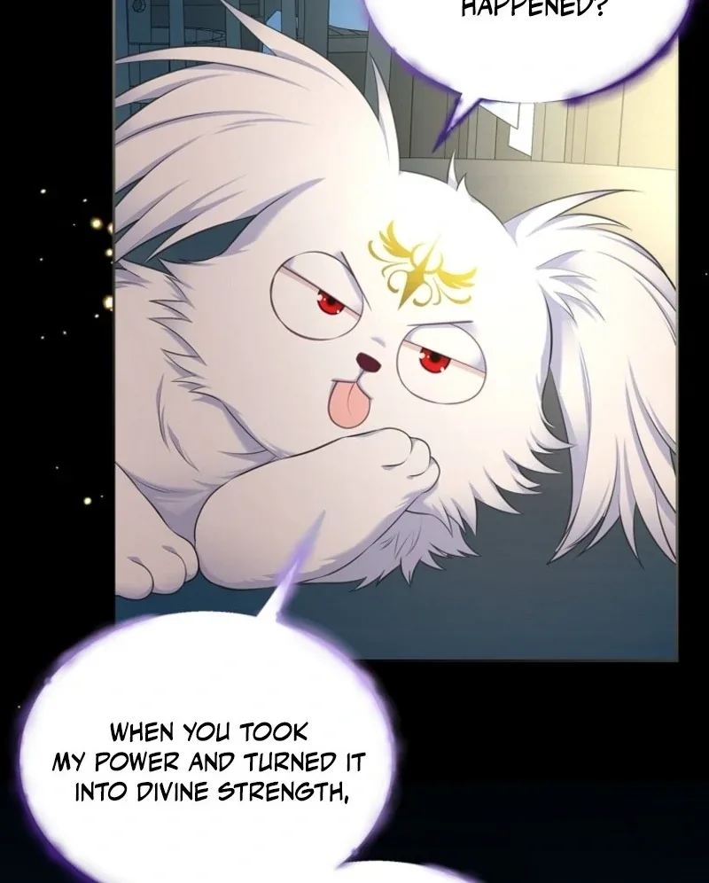 I Will Divorce the Female Lead’s Siscon Brother Chapter 78 page 48