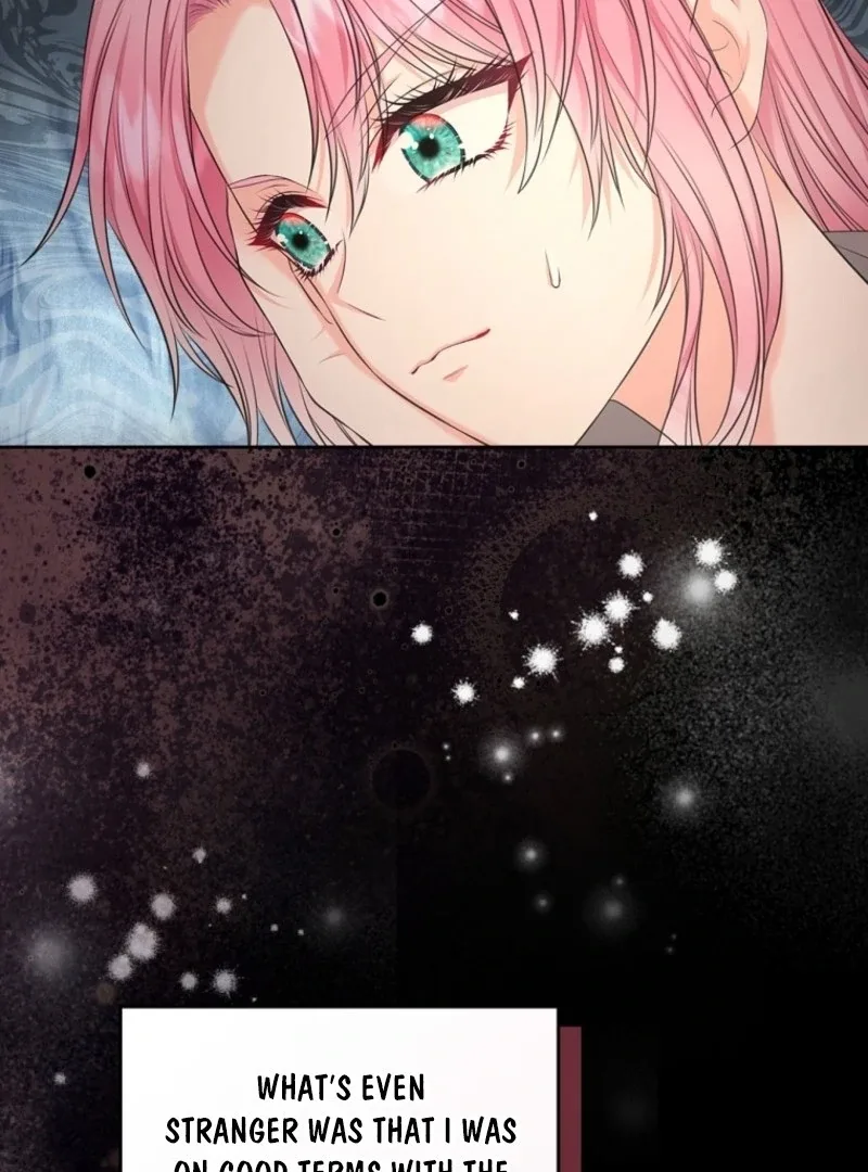 I Will Divorce the Female Lead’s Siscon Brother Chapter 78 page 44
