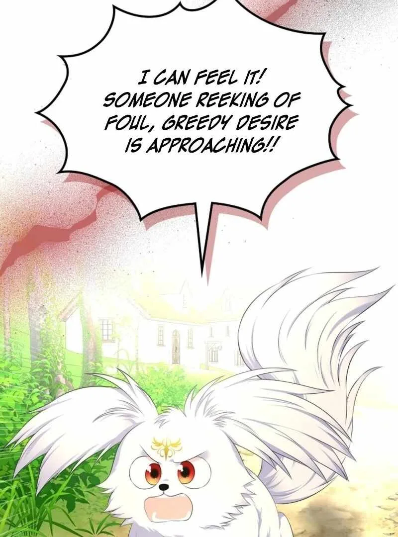 I Will Divorce the Female Lead’s Siscon Brother Chapter 79 page 3
