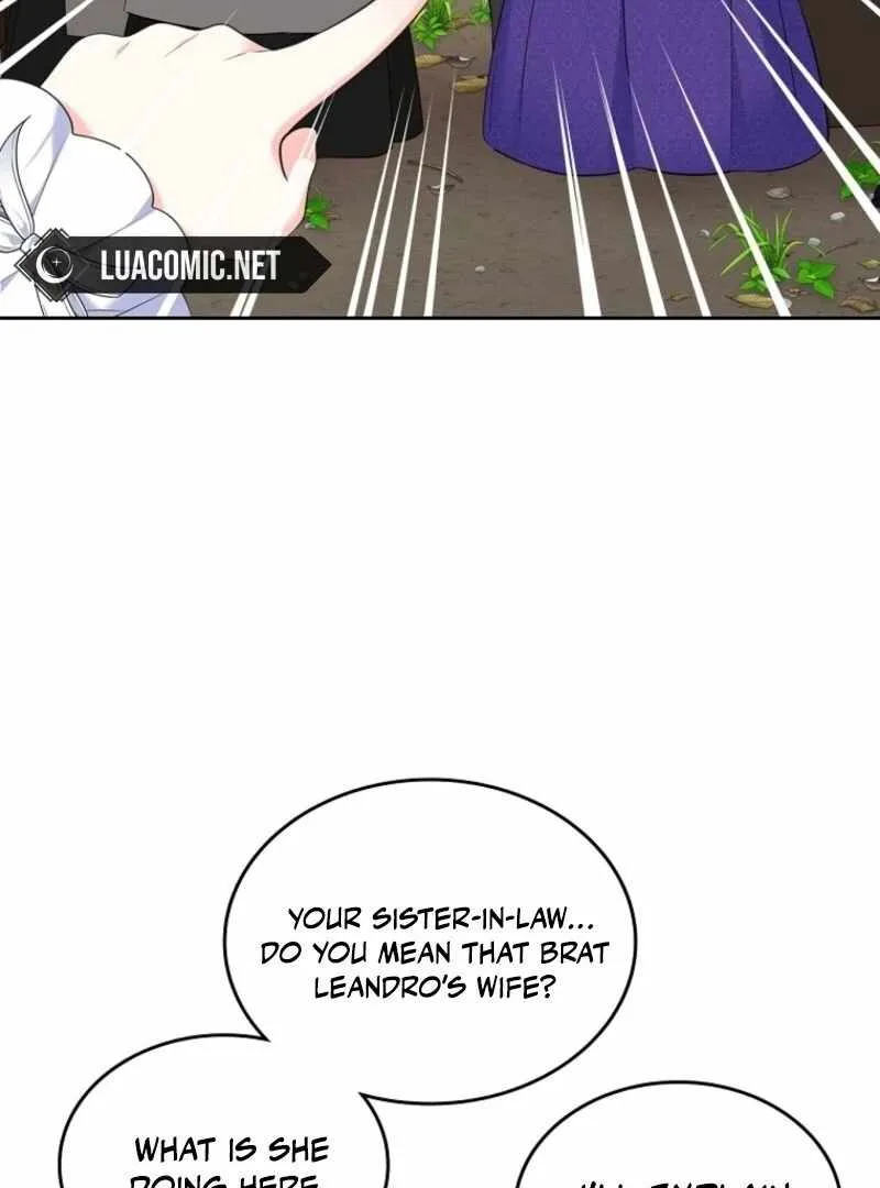 I Will Divorce the Female Lead’s Siscon Brother Chapter 79 page 44