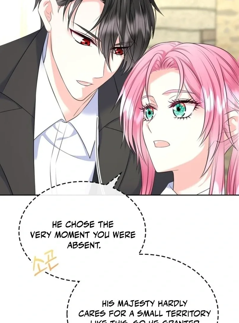 I Will Divorce the Female Lead’s Siscon Brother Chapter 80 page 73