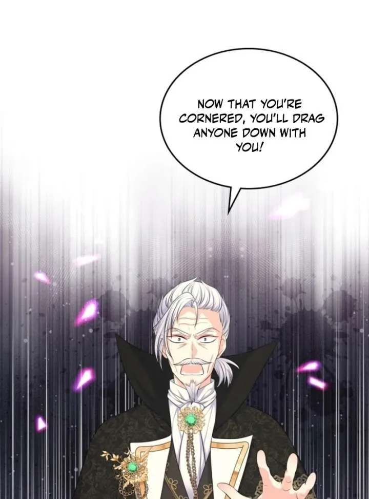 I Will Divorce the Female Lead’s Siscon Brother Chapter 82 page 17