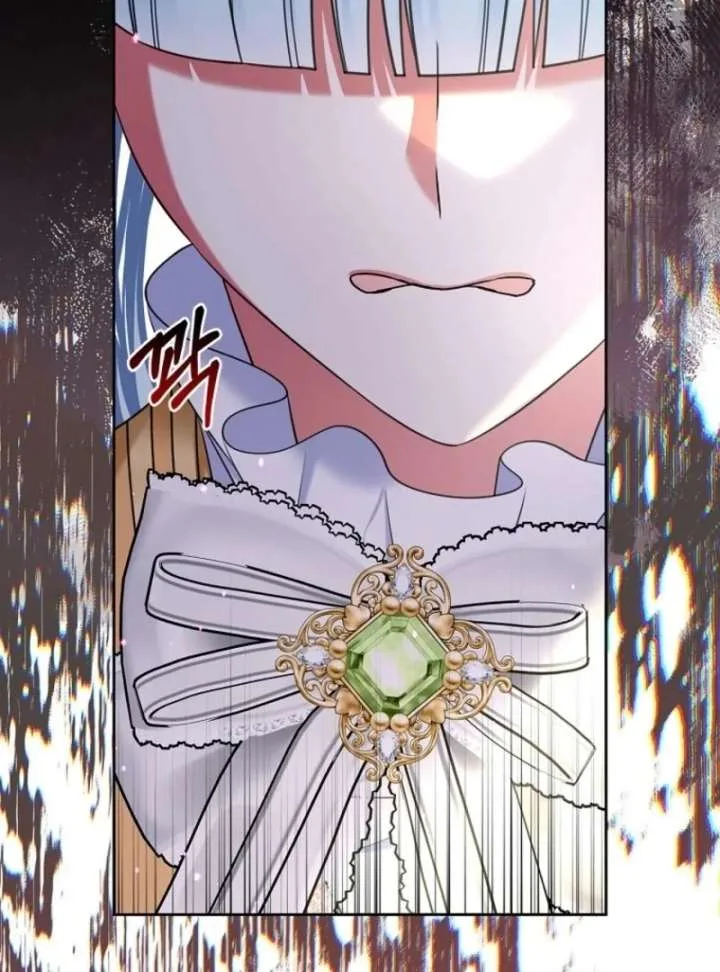 I Will Divorce the Female Lead’s Siscon Brother Chapter 82 page 73