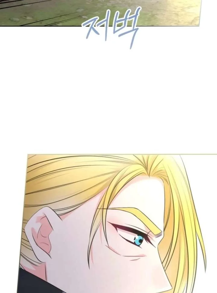 I Will Divorce the Female Lead’s Siscon Brother Chapter 82 page 47