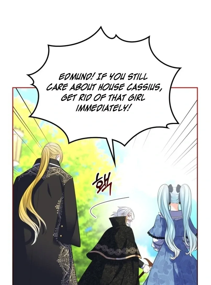 I Will Divorce the Female Lead’s Siscon Brother Chapter 83 page 46